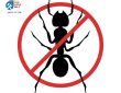 شركة رش مبيدات ومكافحة الحشرات بحي الجرادية
