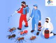 شركة رش مبيدات ومكافحة الحشرات بحي أشبيلية
