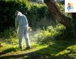 شركة رش مبيدات ومكافحة الحشرات بحي ظهرة نمار