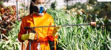 شركة رش مبيدات ومكافحة الحشرات بحي الملز
