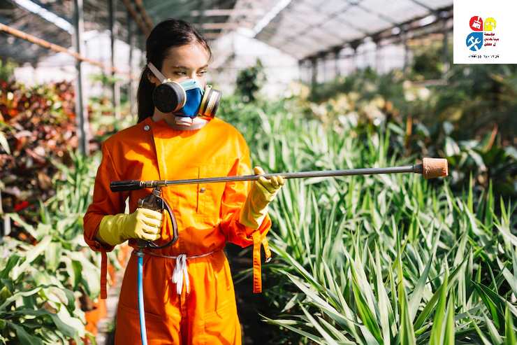 شركة رش مبيدات ومكافحة الحشرات بحي الملز