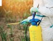 شركة رش مبيدات ومكافحة الحشرات جنوب الرياض