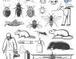 شركة رش مبيدات ومكافحة الحشرات شرق الرياض