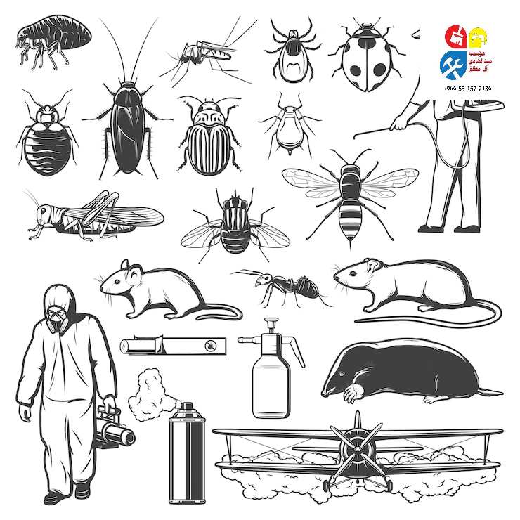 شركة رش مبيدات ومكافحة الحشرات شرق الرياض