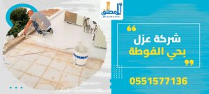 شركة عزل بحي الفوطة