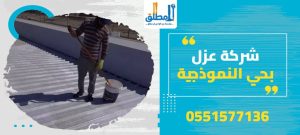 شركة عزل بحي النموذجية