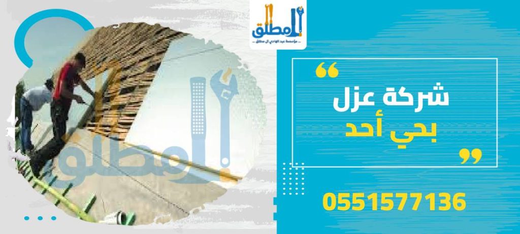 شركة عزل بحي أحد