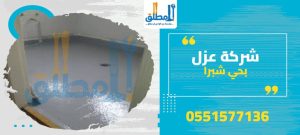 شركة عزل بحي شبرا