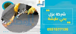 شركة عزل بحي عليشة